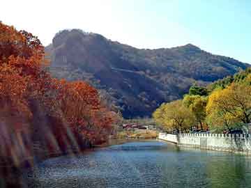 新澳天天开奖资料大全旅游团，超级废材